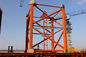 Electric Power Crane Model qtz80-6010 To Buildings Construction Site supplier