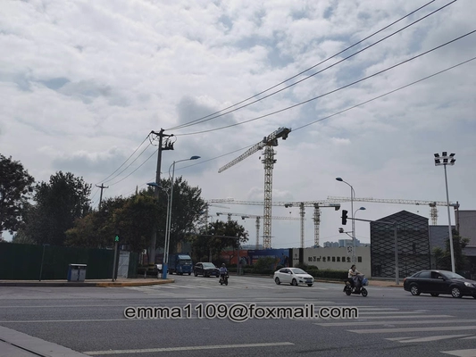China 10t Max. Load PT5020 Topless Tower Crane with Frequency Controllers System supplier